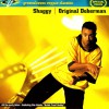 Shaggy Kibbles And Bits 试听