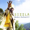 Sizzla The World 试听