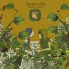 Johnathan Rice Short Song For Strings (Digital Album Version) 试听