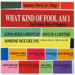 What Kind Of Fool Am I & Other Show Stoppers详情