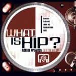 What Is Hip-Remix Project Vol. 1 (U.S. Version)详情
