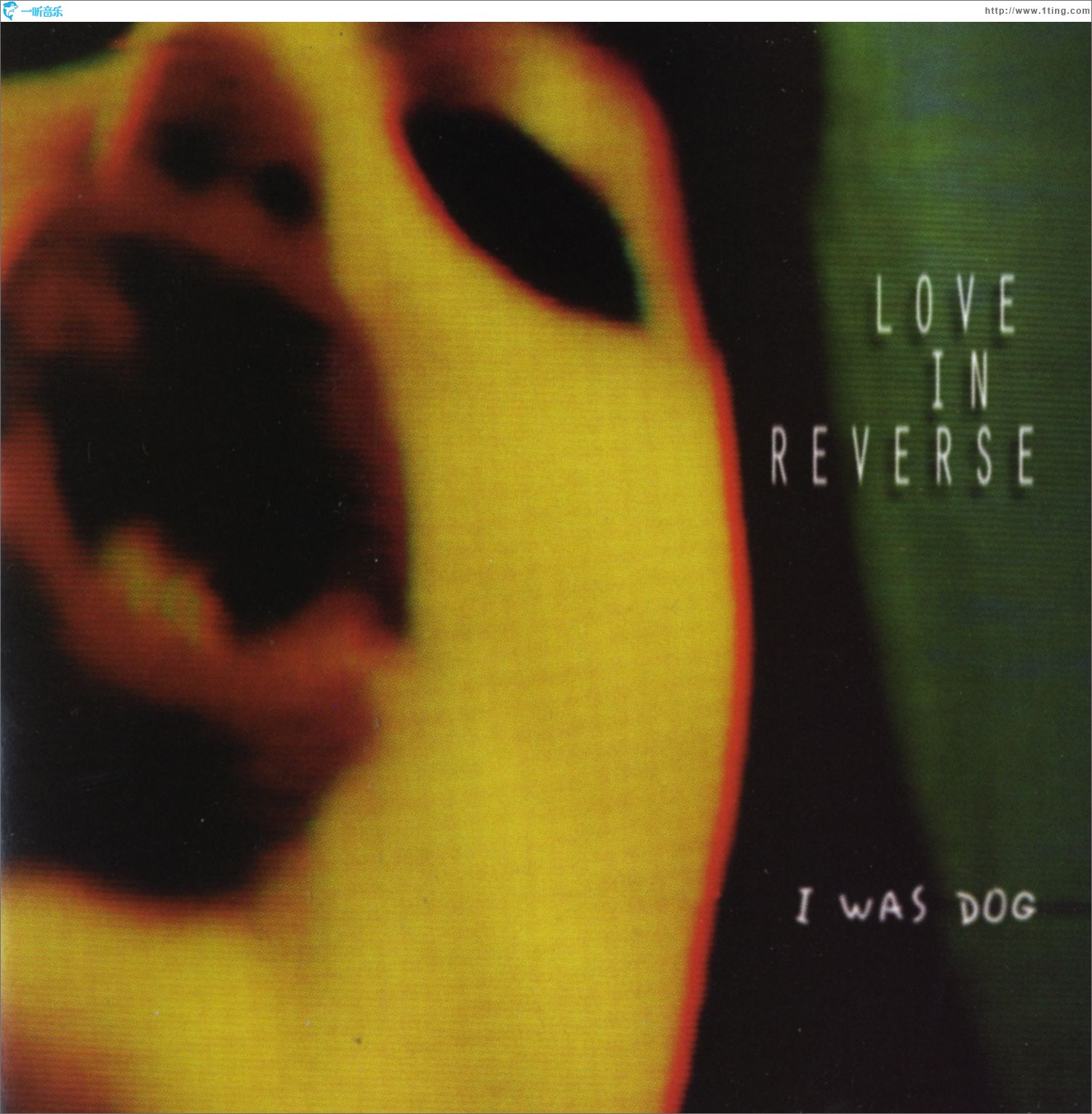 I Was Dog