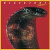 Blackfoot Road Fever (LP Version) 试听