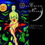Moon Bathing On Sleeping Leaves详情
