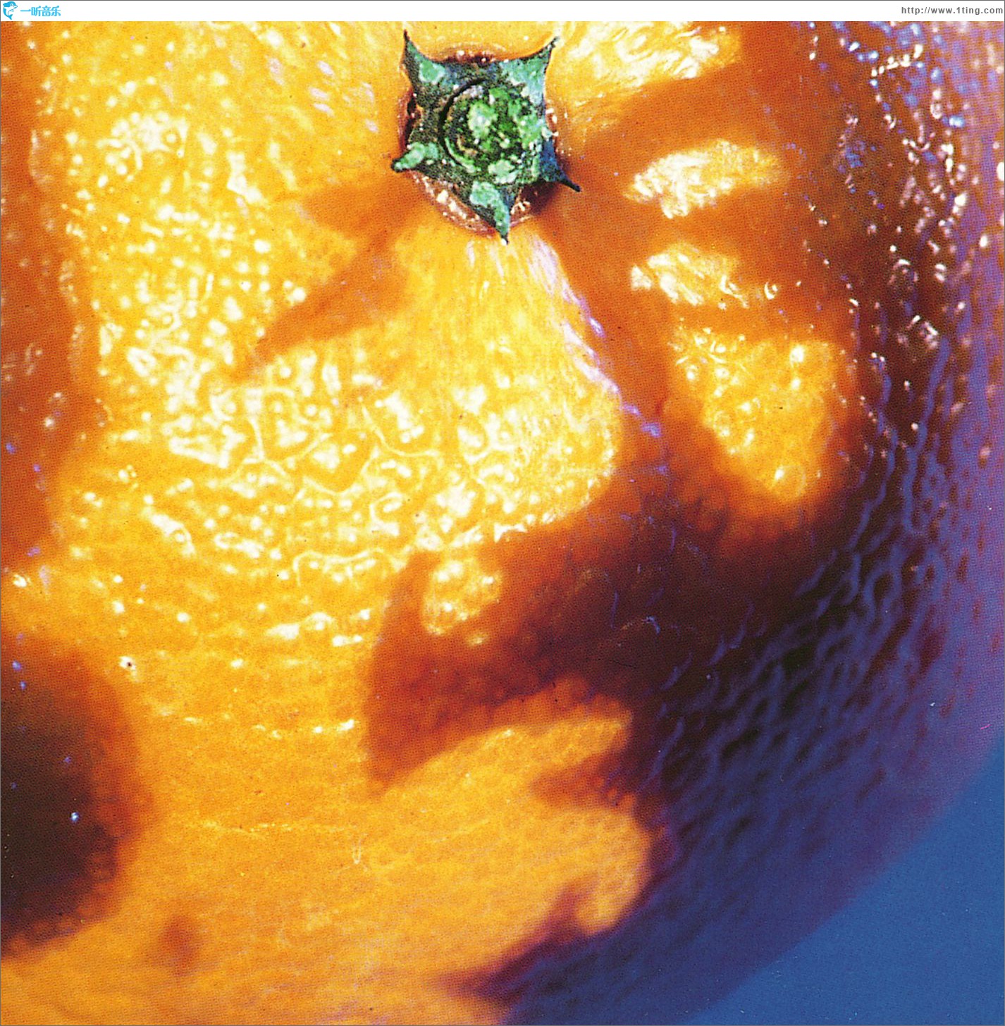 A Picture Of Nectar