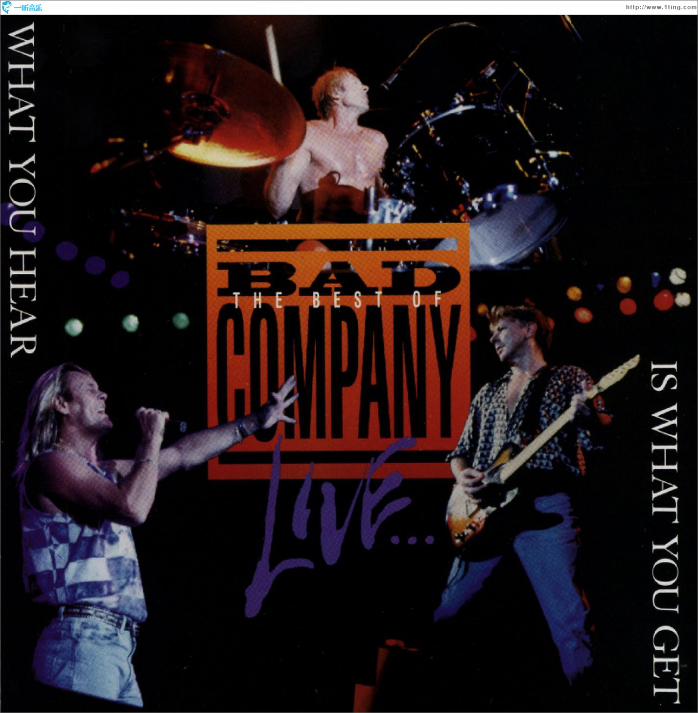 The Best Of Bad Company Live...What You Hear Is What You Get