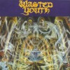 Wasted Youth Any Gun Can Play 试听
