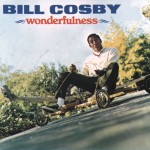 Wonderfulness详情
