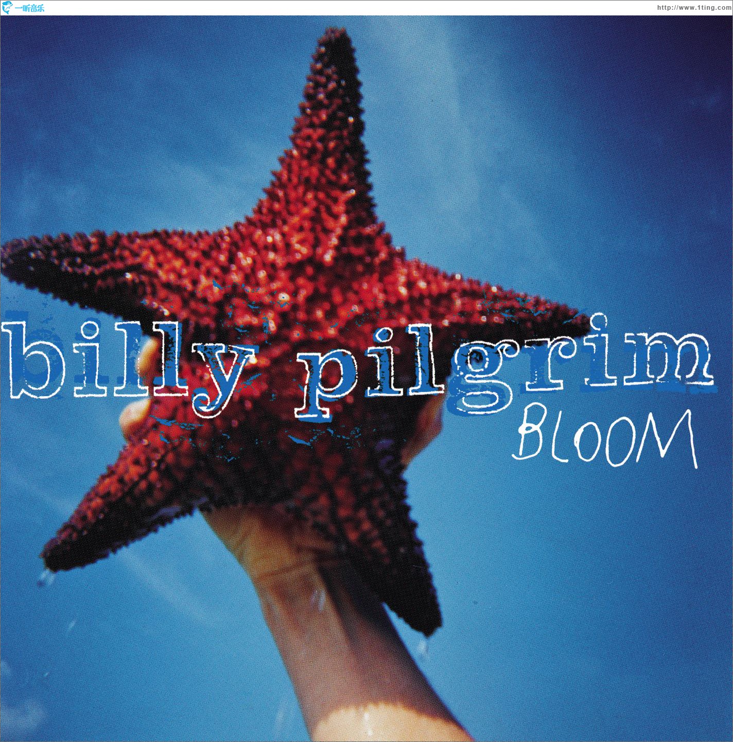 Bloom