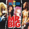 Mr. Big Daddy, Brother, Lover, Little Boy [The Electric Drill Song] [Live at NHK Hall, Tokyo, Japan, September 26, 1991] 试听
