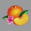 Bankrupt!(Deluxe Edition)