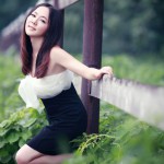 幸福中国梦(单曲)详情