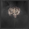 A Ton Of Love(Single)