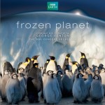 冰冻星球 BBC Frozen Planet Soundtrack