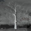 OLDCODEX The Misfit Go 试听