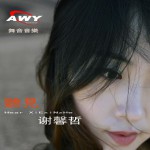 听见谢馨哲详情