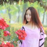 绽放的玫瑰(单曲)详情