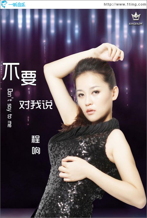 不要对我说(单曲)