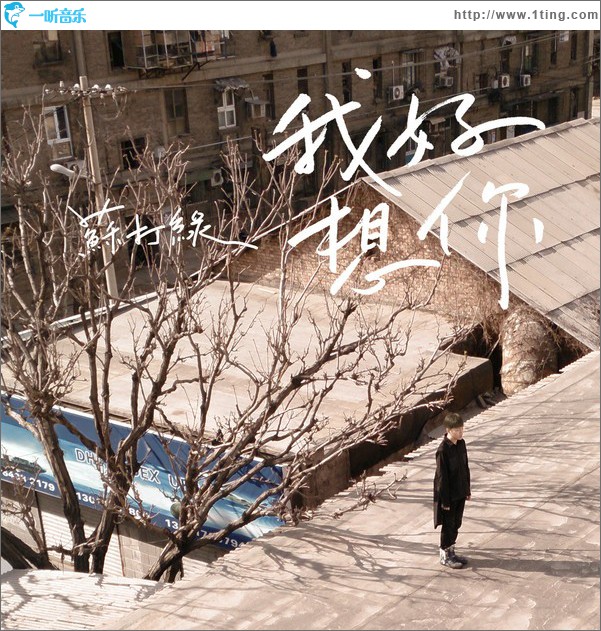 我好想你(电影《小时代》主题曲)