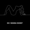 Do I Wanna Know?(Single)