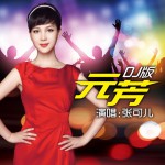 元芳(DJ版)