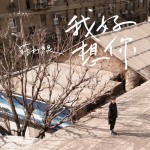我好想你(电影《小时代》主题曲)