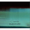 9mm Parabellum Bullet 黒い森の旅人 试听