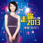 走你2013(DJ版)
