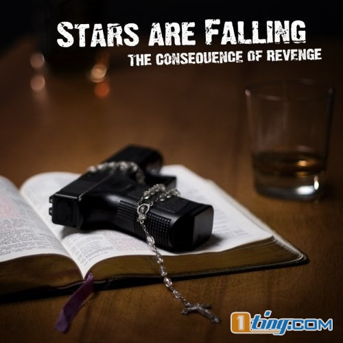 Consequence of Revenge