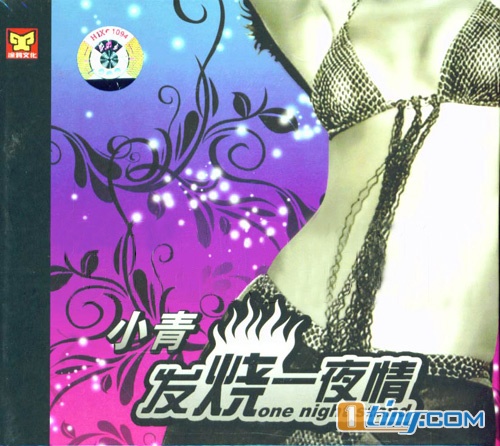 发烧一夜情