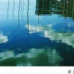 后观音 FM3 窦唯