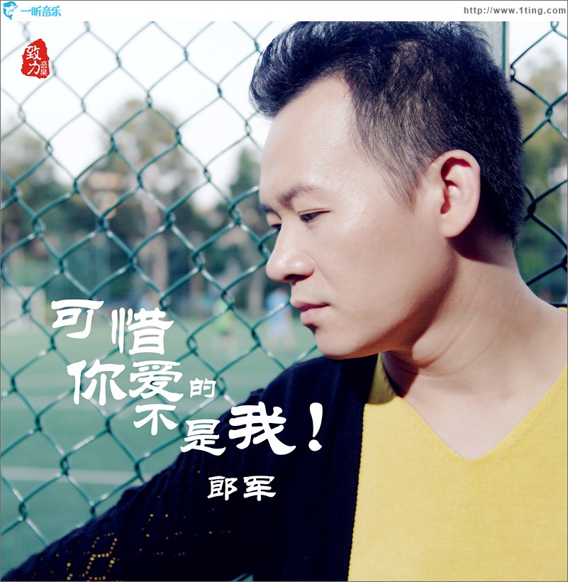 可惜你爱的不是我(单曲)