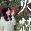 火芯(单曲)
