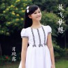 放飞梦想(单曲)