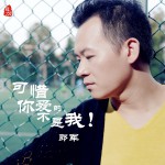 可惜你爱的不是我(单曲)详情