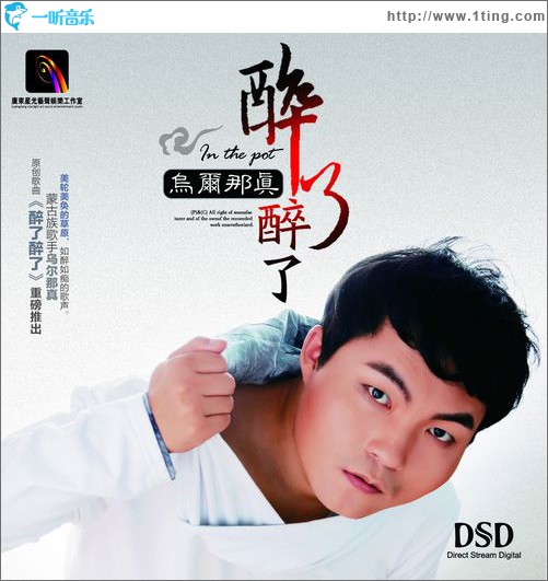 醉了醉了(单曲)