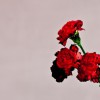 Love In The Future(Deluxe Edition)