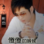 傻傻的等候(单曲)