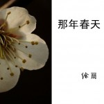 那一年春天(单曲)详情