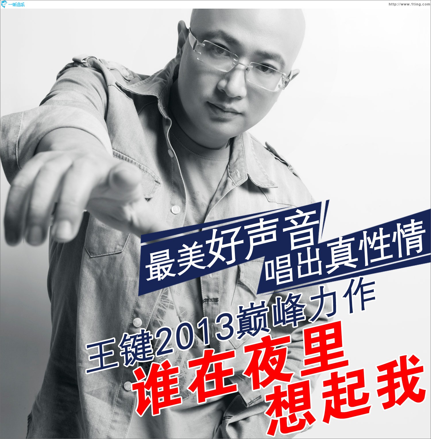 谁在夜里想起我DJ