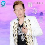 前方详情