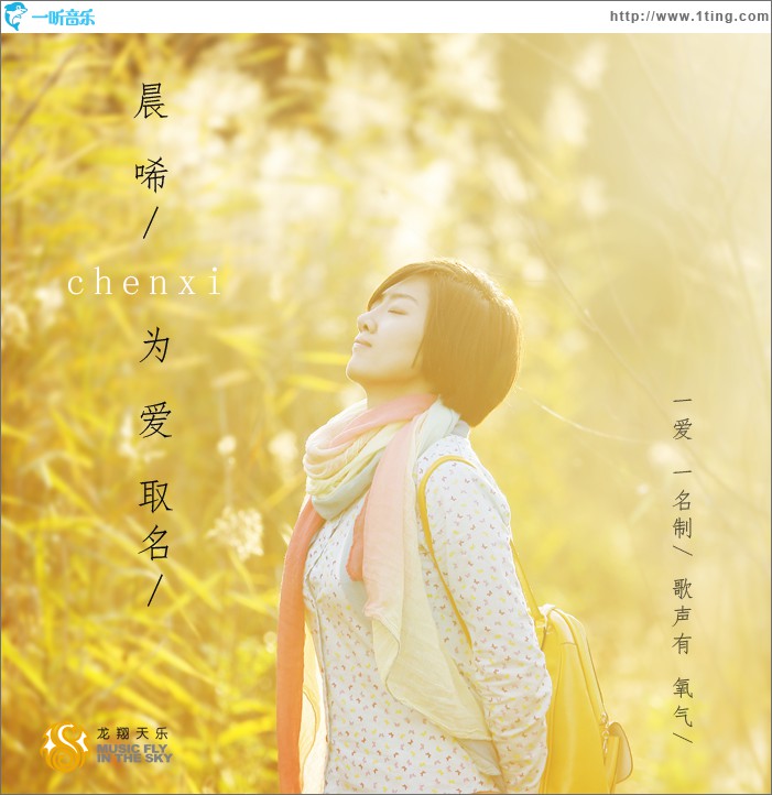 为爱取名(单曲)