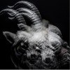 the GazettE MALFORMED BOX 试听