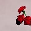 John Legend So Gone 试听