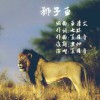 狮子王(单曲)