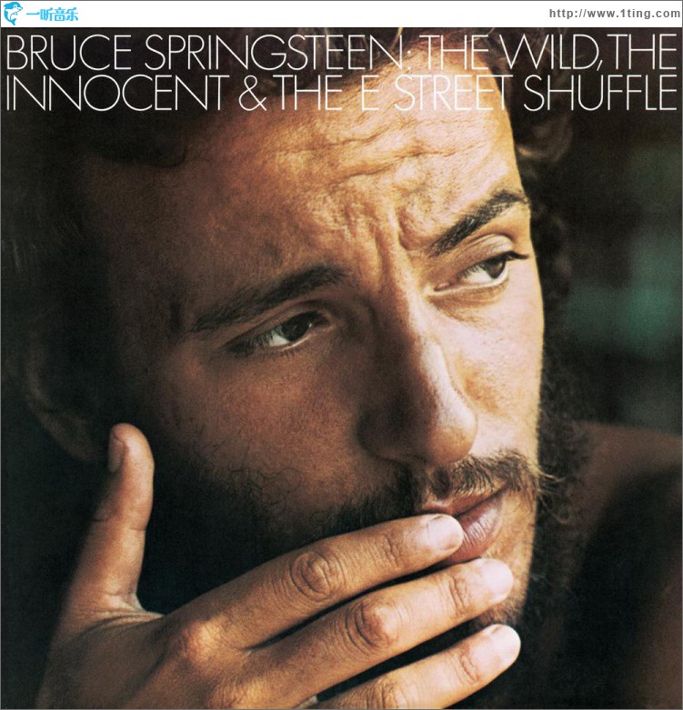 The Wild, the Innocent, And The E Street Shuffle
