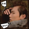 陈柏宇 命案 试听