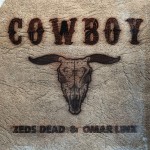 Cowboy (Remixes)详情