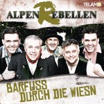 Barfuss durch die Wiesn详情