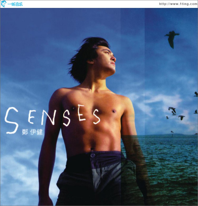Senses